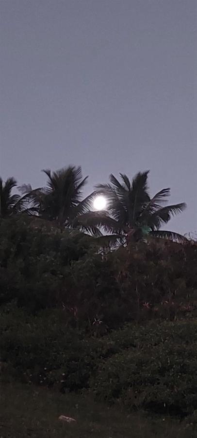 דירות קאבו פריו Flats Paraiso Paradisiaco מראה חיצוני תמונה